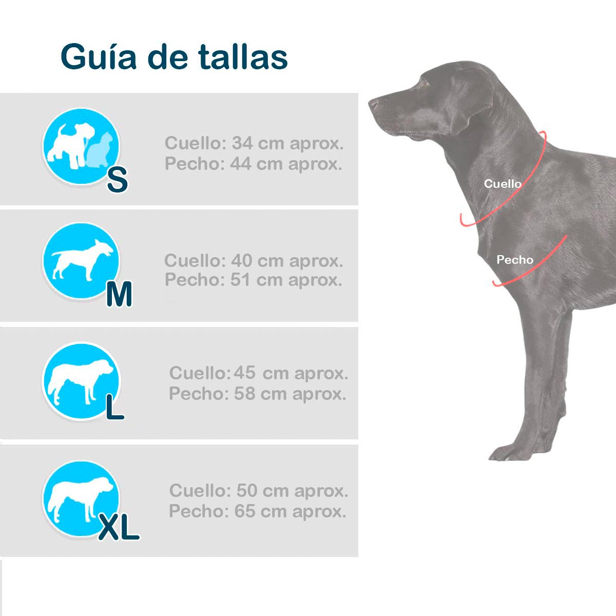 🎉🐶Disfraces para Peludos🎉🐶 Elegancia y Diversión para tu Mejor Amigo! 🐾✨