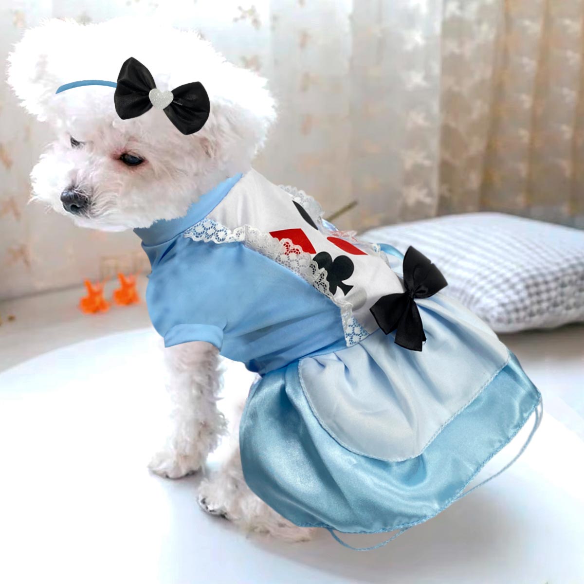 🎉🐶Disfraces para Peludos🎉🐶 Elegancia y Diversión para tu Mejor Amigo! 🐾✨
